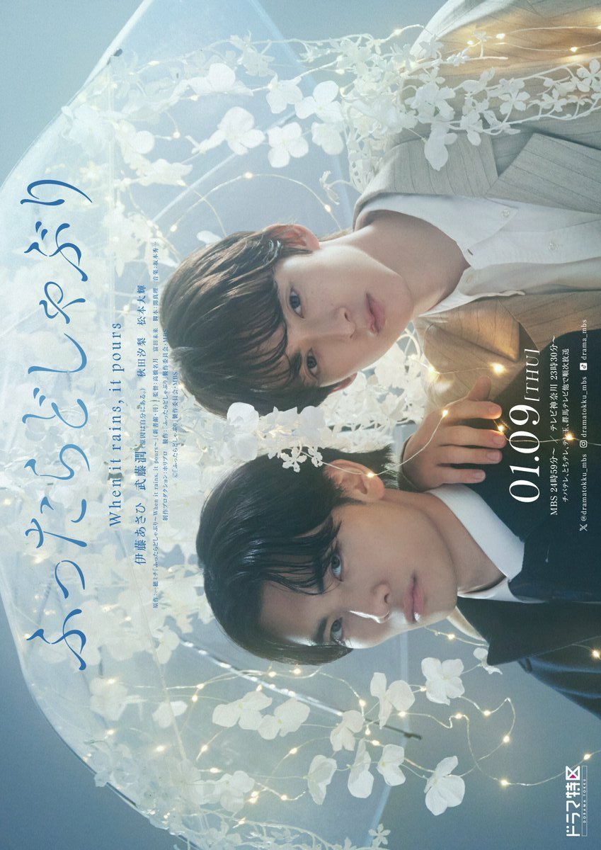 Когда идёт дождь, льёт как из ведра - постер